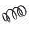 Neox SP9369 - Coil Spring (Front)