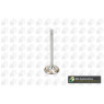 BGA Group V164520 - Inlet Valve
