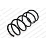Neox SP9205 - Coil Spring (Front)