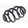 Neox SJ6353 - Coil Spring (Rear)