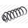 Neox SP7704 - Coil Spring (Rear)