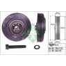 INA 544000220 - Crankshaft Pulley