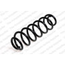 Neox SA6370 - Coil Spring (Rear)