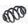 Neox SJ9009 - Coil Spring (Rear)