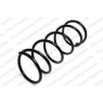 Neox SA6114 - Coil Spring (Front)