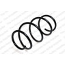 Neox SP7601 - Coil Spring (Front)