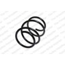 Neox SP6836 - Coil Spring (Front)
