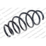 Neox SP9664 - Coil Spring (Front)