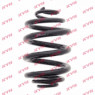 KYB RJ5155 - Coil Spring (Rear)