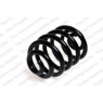 Neox SP7875 - Coil Spring (Rear)
