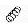 Neox SH6074 - Coil Spring (Front)