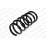 Neox SP7797 - Coil Spring (Front)