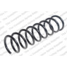 Neox ST1045 - Coil Spring (Rear)