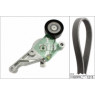 INA 529046210 - Drive Belt Kit