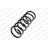 Neox SP8564 - Coil Spring (Rear)