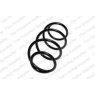 Neox SH6244 - Coil Spring (Front)
