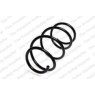 Neox SP7827 - Coil Spring (Front)