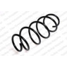 Neox SA6103 - Coil Spring (Front)