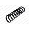 Neox SP6691 - Coil Spring (Rear)
