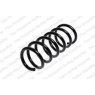 Neox SP7580 - Coil Spring (Front)