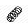 Neox SC6501 - Coil Spring (Rear)