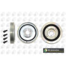 BGA Group DP1000K - Torsion Vibration Damper