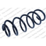 Neox SP7375 - Coil Spring (Front)