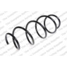 Neox SP7532 - Coil Spring (Front)