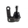 Camber CBJ25743 - Ball Joint (Front Left Hand+Right Hand)