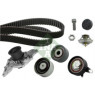 INA 530041631 - Timing Belt-Water Pump Kit