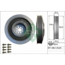 INA 544010220 - Crankshaft Pulley
