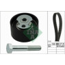 INA 530014410 - Timing Belt Kit
