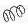 Neox SP7933 - Coil Spring (Front)