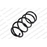 Neox SG6041 - Coil Spring (Front)