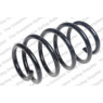 Neox SP7549 - Coil Spring (Front)