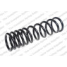 Neox SP6610 - Coil Spring (Rear)