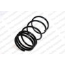 Neox SP9081 - Coil Spring (Rear)