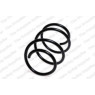 Neox SP7255 - Coil Spring (Front)