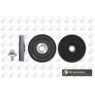 BGA Group DP0597K - Torsion Vibration Damper