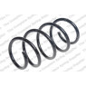 Neox SP7351 - Coil Spring (Front)