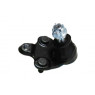 Camber CBJ25558 - Ball Joint (Front Left Hand+Right Hand)