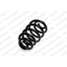 Neox SP6616 - Coil Spring (Rear)