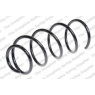 Neox SP6685 - Coil Spring (Front)