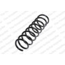 Neox SC6127 - Coil Spring (Rear)