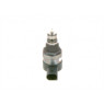 Bosch 0281002494 - Common Rail Assembly