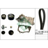 INA 530063930 - Timing Belt-Water Pump Kit