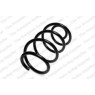 Neox SH6049 - Coil Spring (Front)