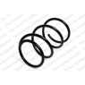 Neox SP8817 - Coil Spring (Front)