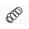 Neox SG6063 - Coil Spring (Front)