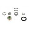 Moog AU-WB-11000 - Wheel Bearing Kit (Rear)